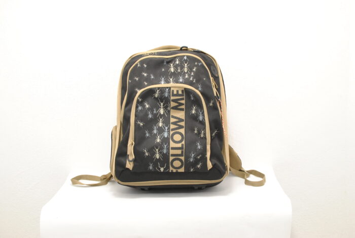 Folow Me geanta , ghiozdan , rucsac de laptop - imagine 3
