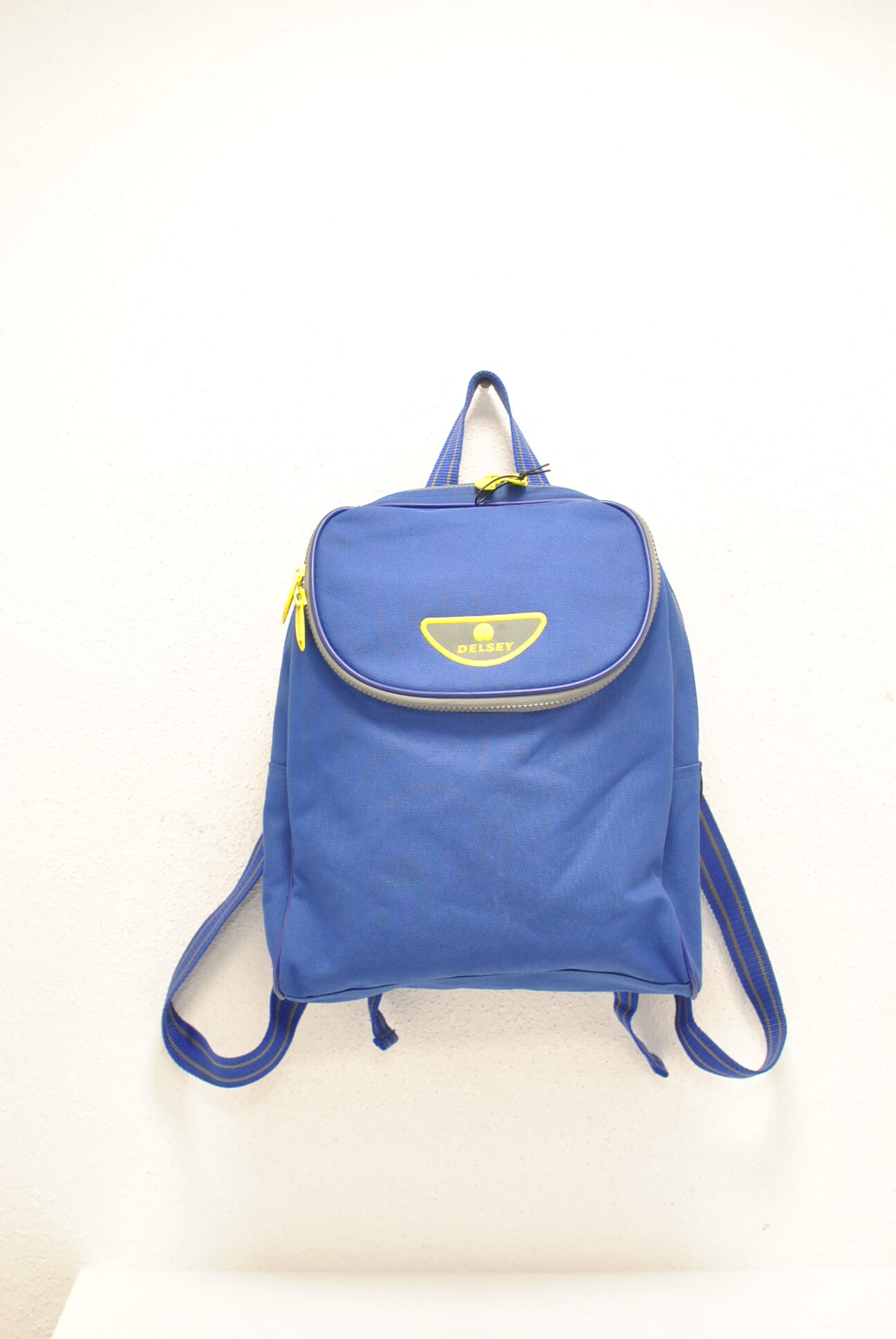 DSC_0149 Delsey rucsac urban - imagine 1